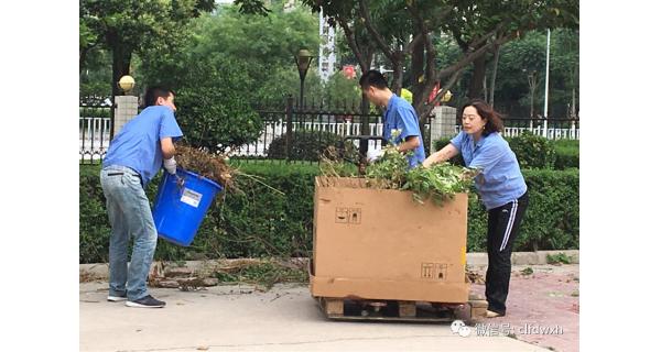 ▌長嶺紡電新聞 ▌迎接國衛(wèi)復審，長嶺紡電在行動！ ——長嶺紡電公司黨總支組織愛衛(wèi)義務勞動